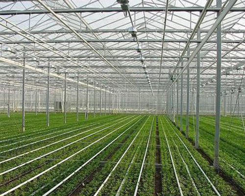 溫室大棚熱水解決方案